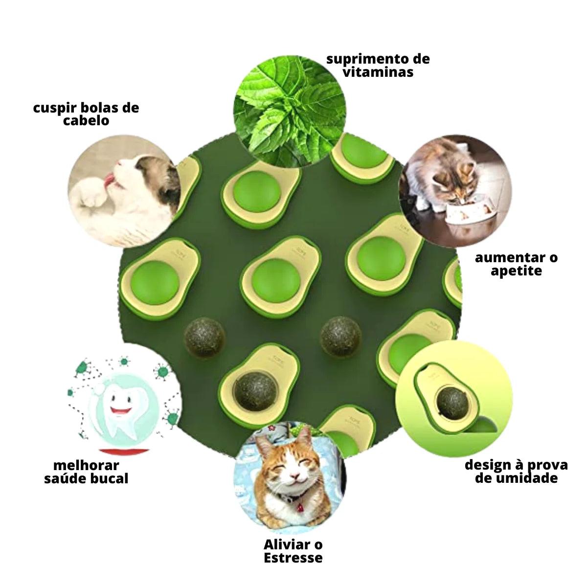 Avocat catnip para gatos