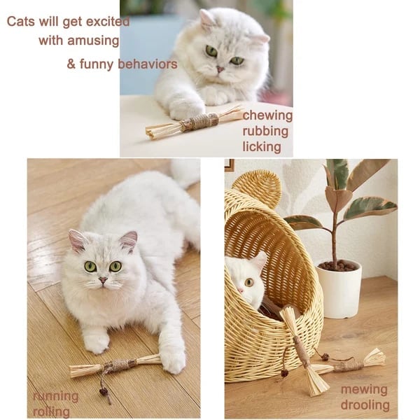 (🔥BIG SALE)Natural Silvervine Stick Cat Chew Toy--buy 5 get 5 free & free shipping10pcs