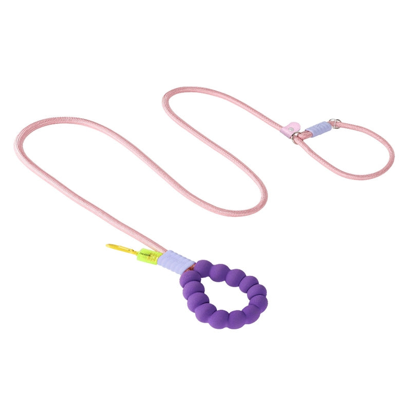 Minimalist Nylon Color Block Leash