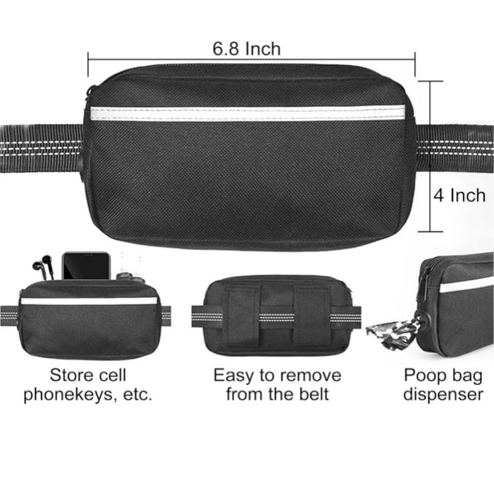 Reflective Bungees Running Dog Leash