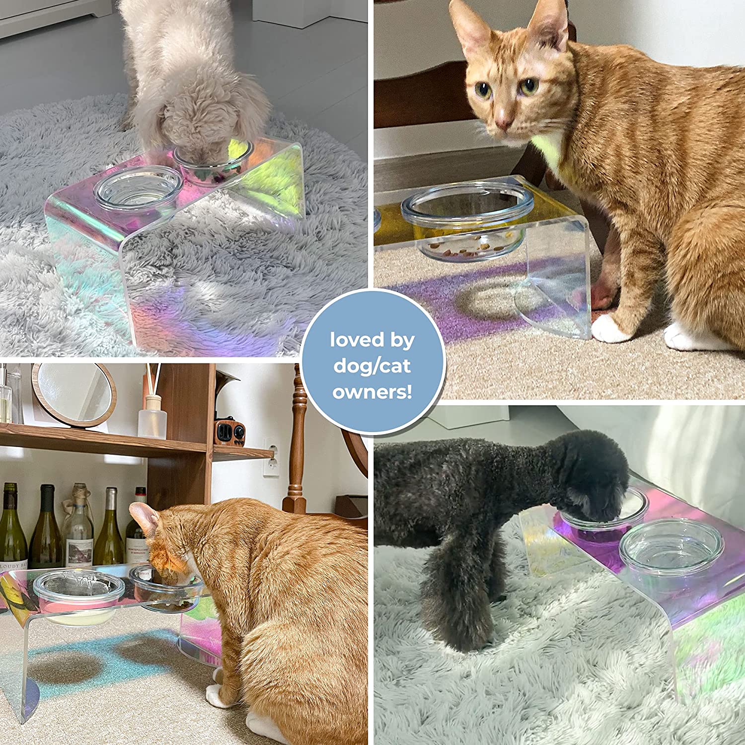 The Holographic Aurora Elevated Pet Feeding Table - Pre Order