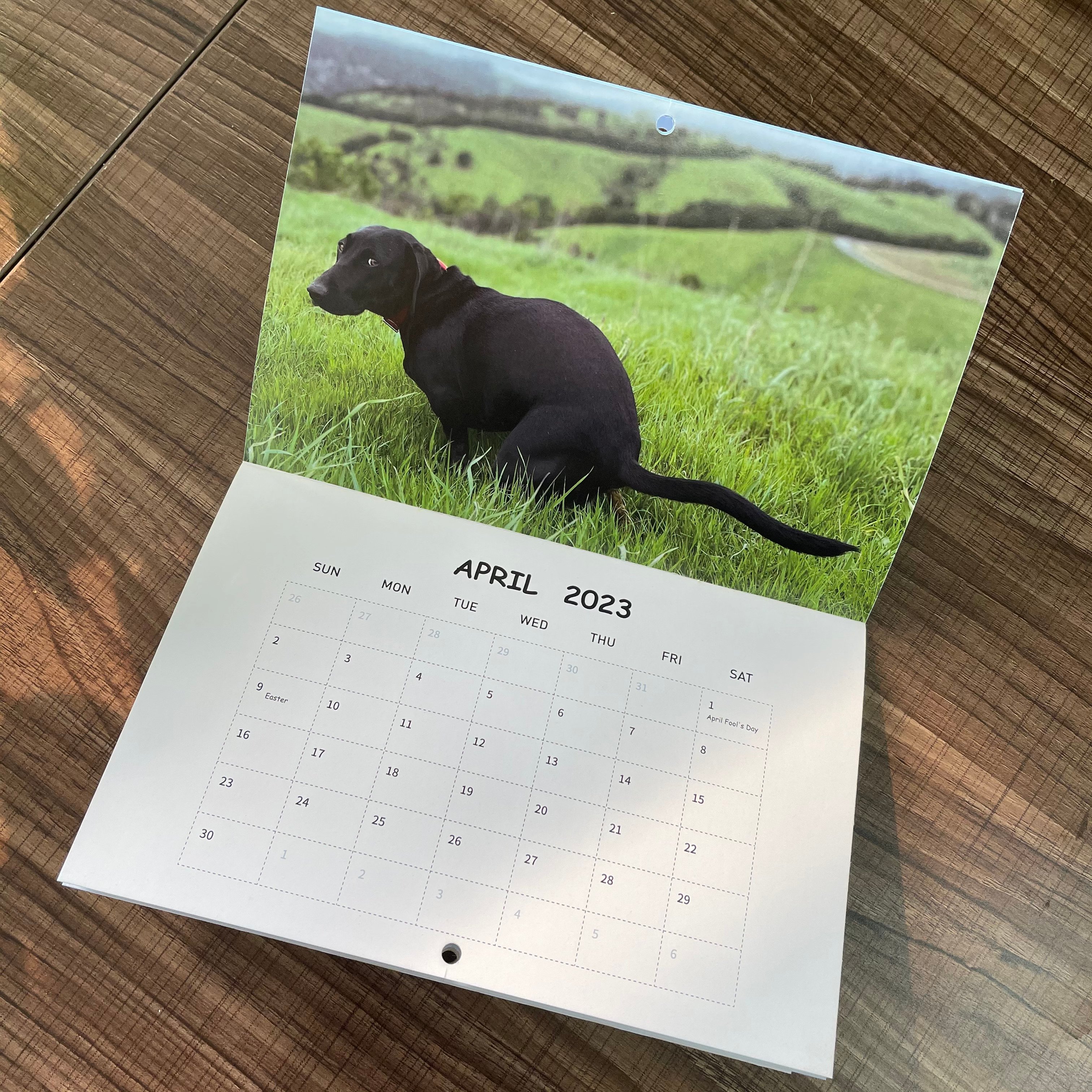 Funny Calendar Gift - Dog Poop Calendar