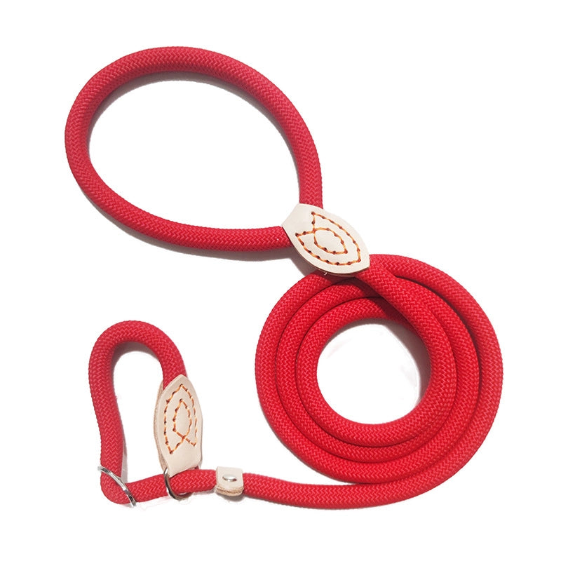 Minimalist Classic Style Nylon Solid Color Leash