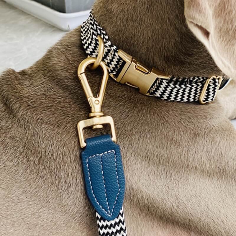 Vogue Zebra Print Neck Guard Dog Collar Dog Walking Set