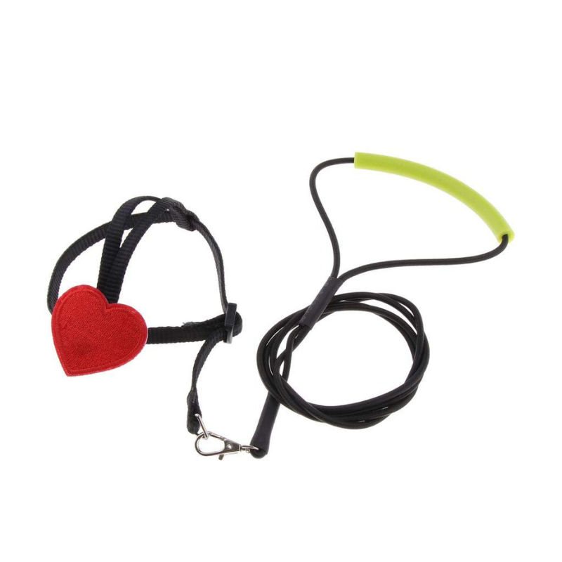 Bird Ultralight Harness Leash