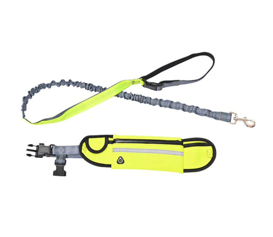 Waist Wearing Adjustable Pet Leashes