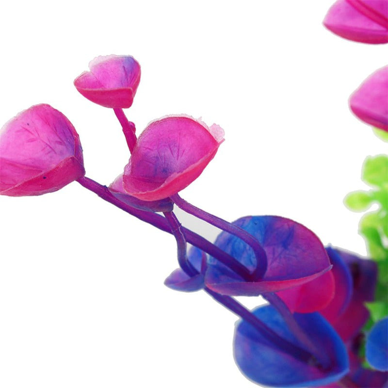 Large Aquatic Plant For Aquarium