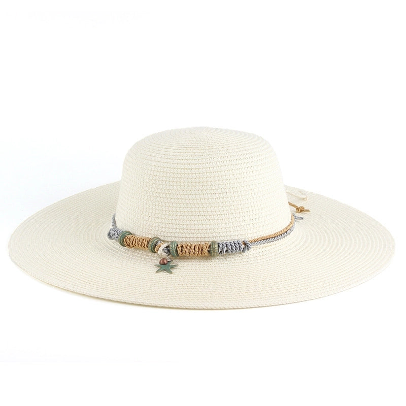 Women's Korean Style Solid Color Big Eaves Straw Hat