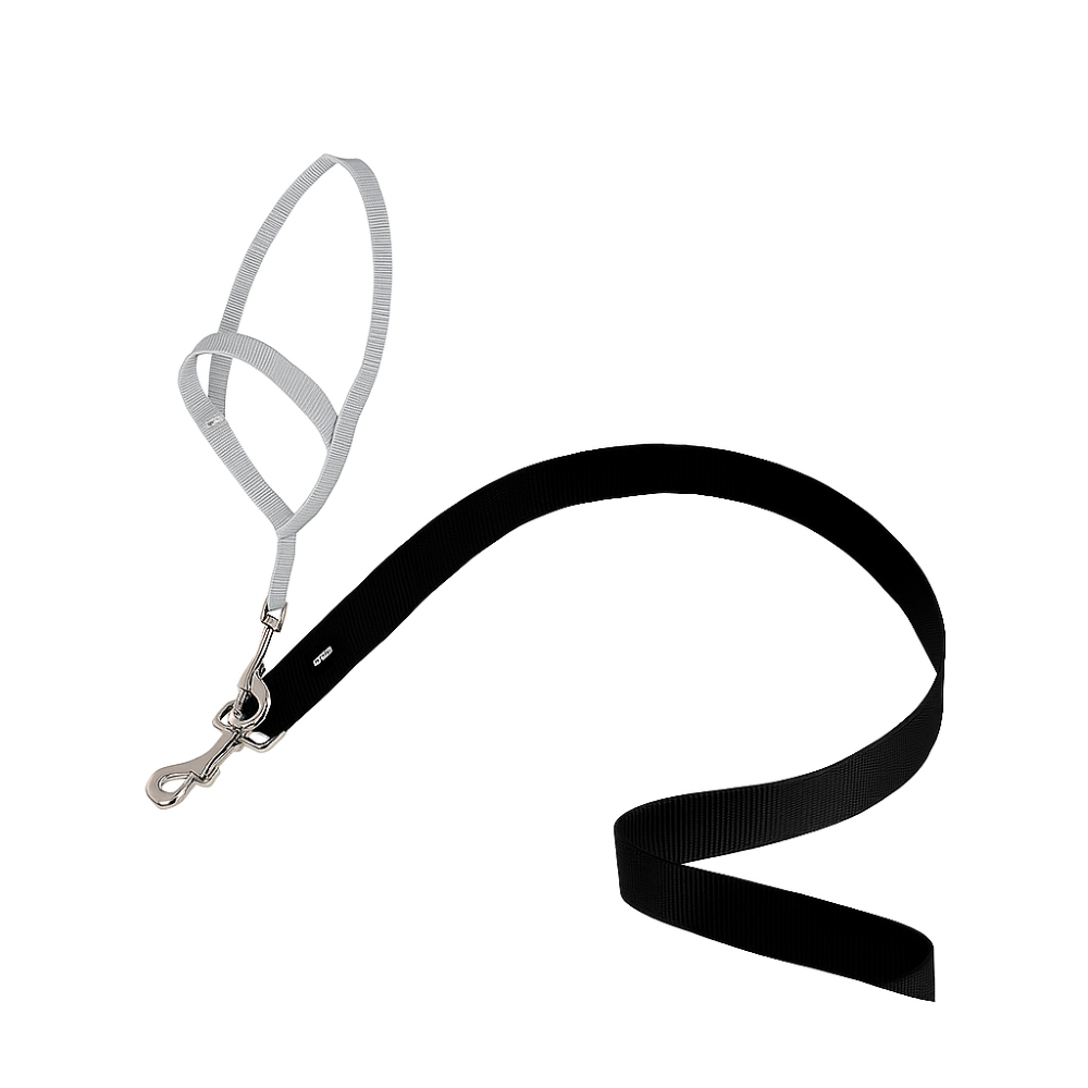 Adjustable No Pull Dog collar