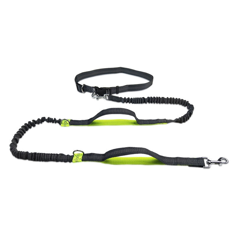 Running Dog Leash