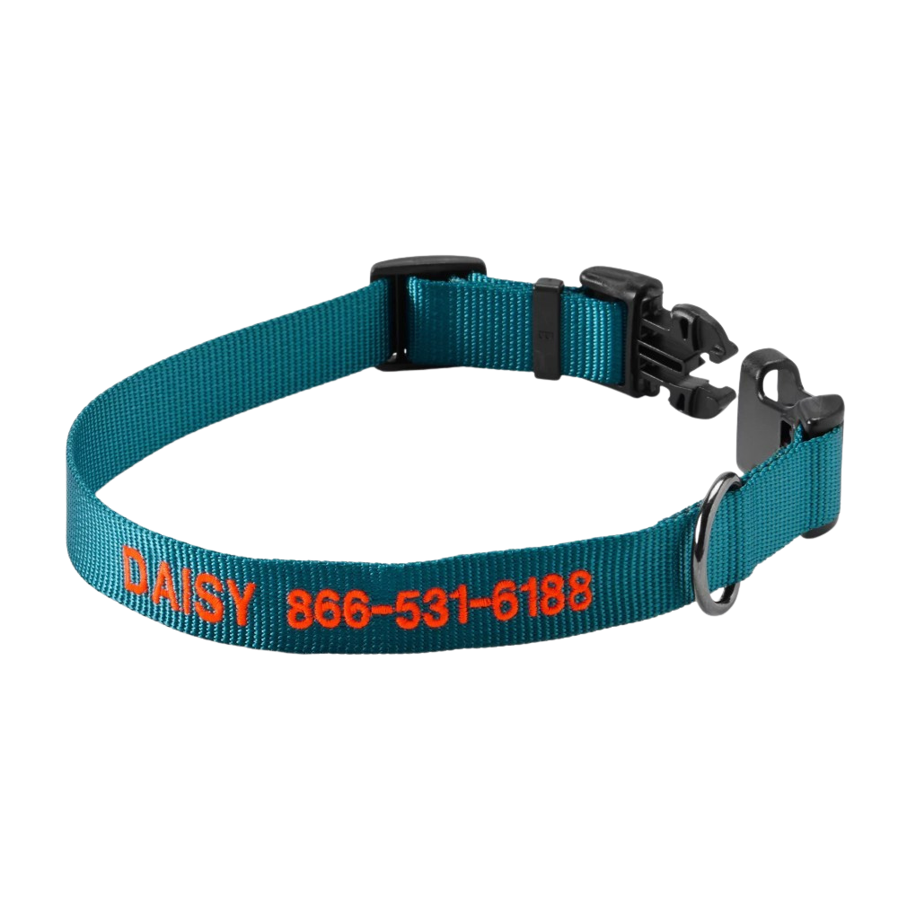 Personalized Side Release Buckle Collar