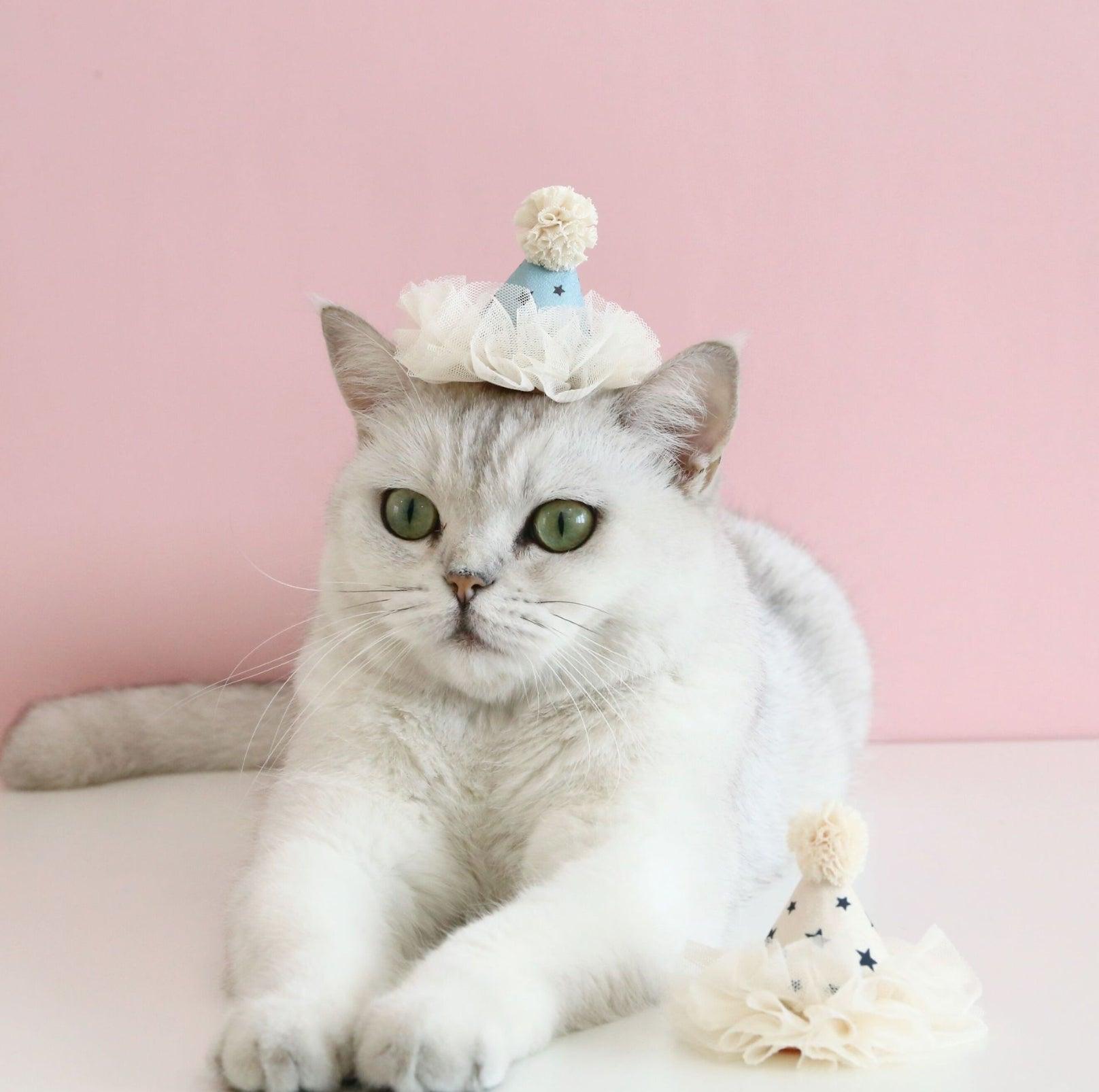 Pet Birthday Hat - Ultimate Party Gear for Pets