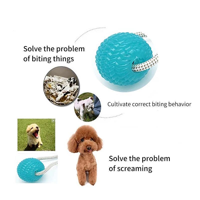 Multifunction Pet Molar Bite Toy