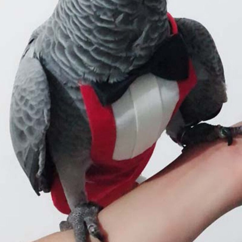 Birds Suit With Bow Tie School Uniform