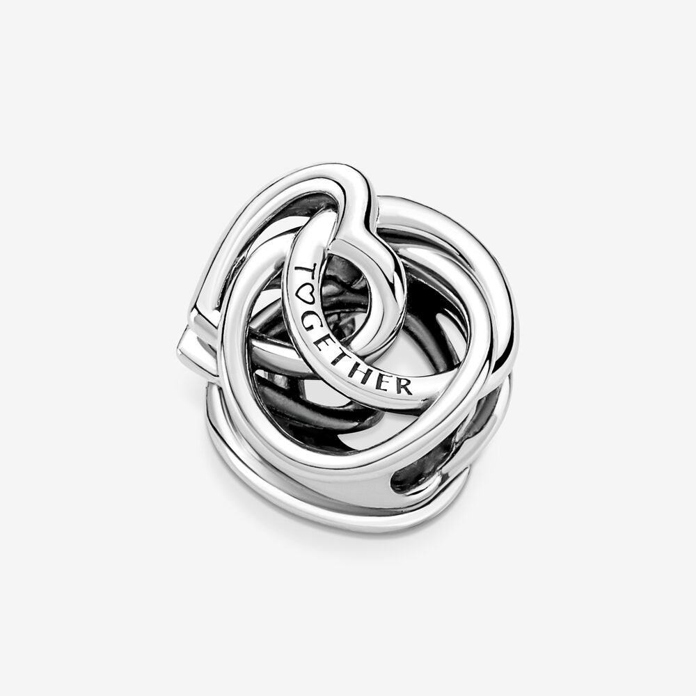 Family Always Encircled Heart Pandora Charm