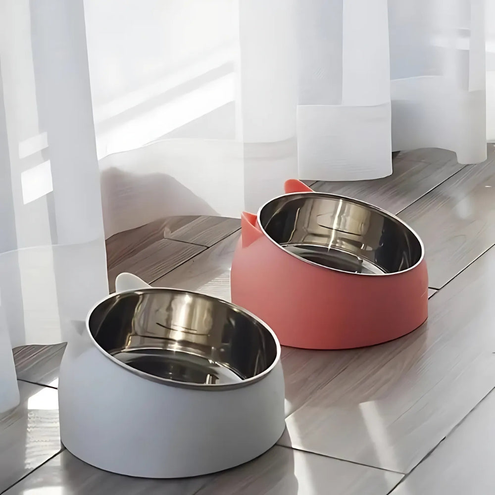 Pet Feeding Bowl