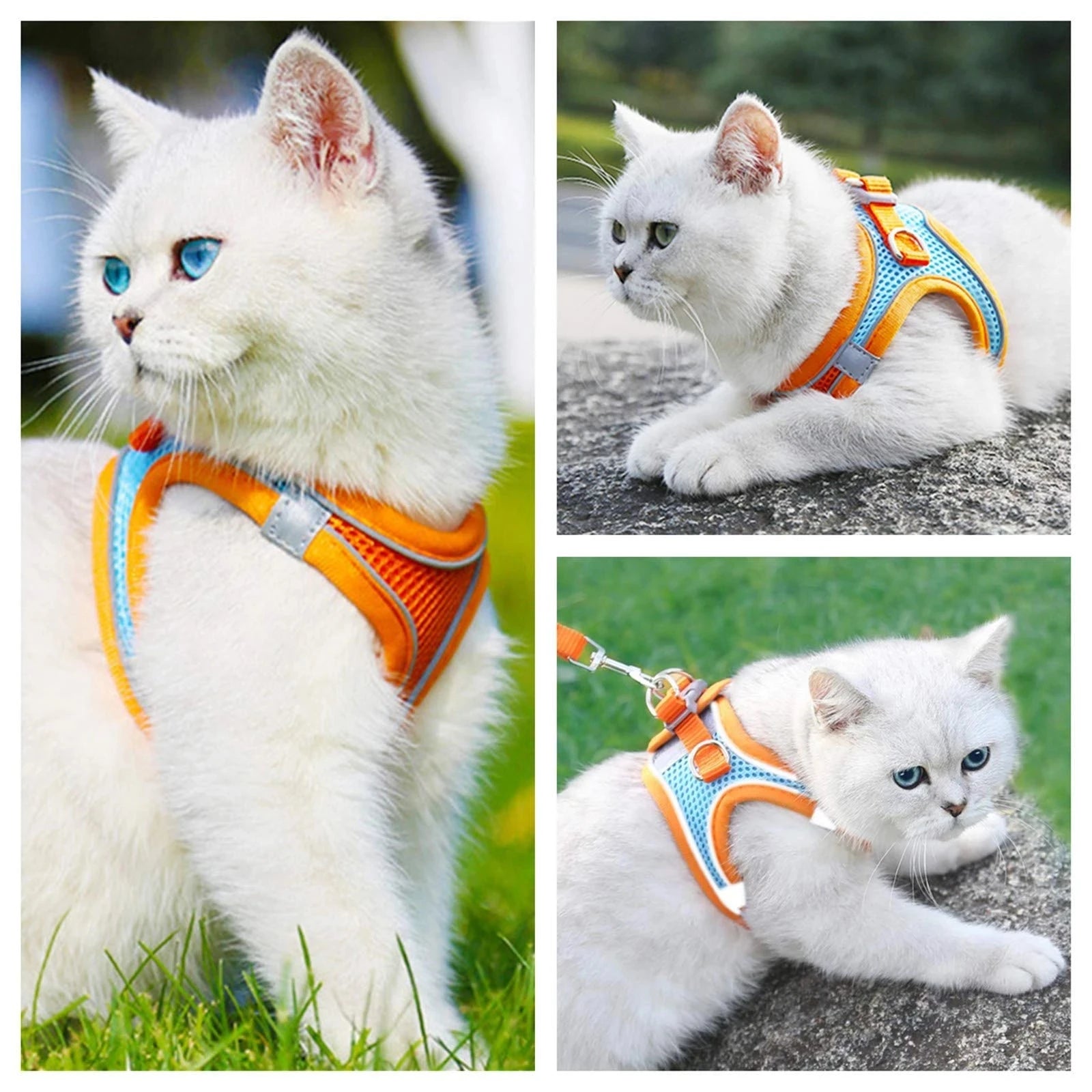 Peitoral de passeio para gatos e cachorros