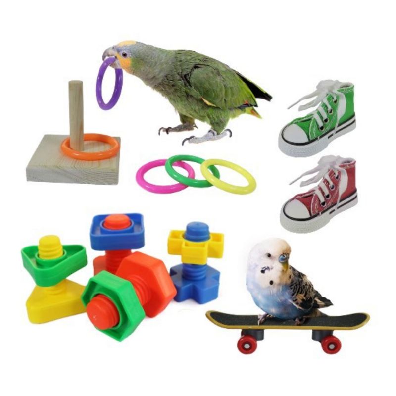 8 Pieces Parrot Training Chew Toys Set