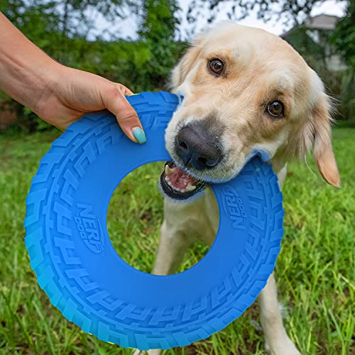 Nerf Dog Rubber Tire Flyer Dog Toy. Flying Disc. Lightweight. Durable. Floats in Water. Great for Beach and Pool. 10 Inch Diameter. for Medium/Large Breeds. Single Unit. Blue. Original