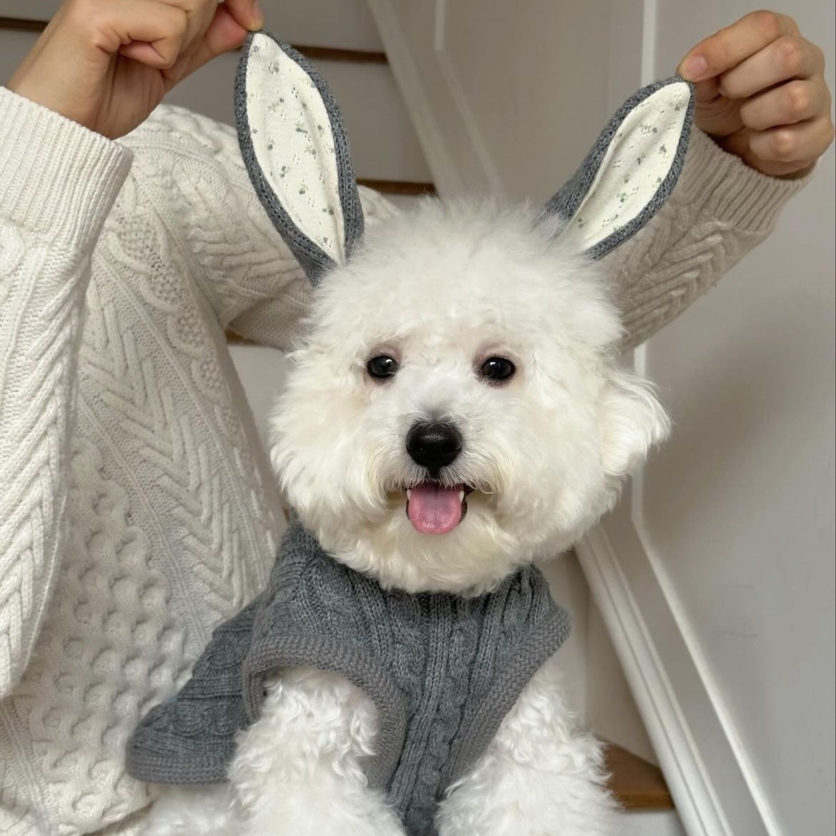 Warm Knitted Rabbit Ear Shaped Dog Cat Sweater
