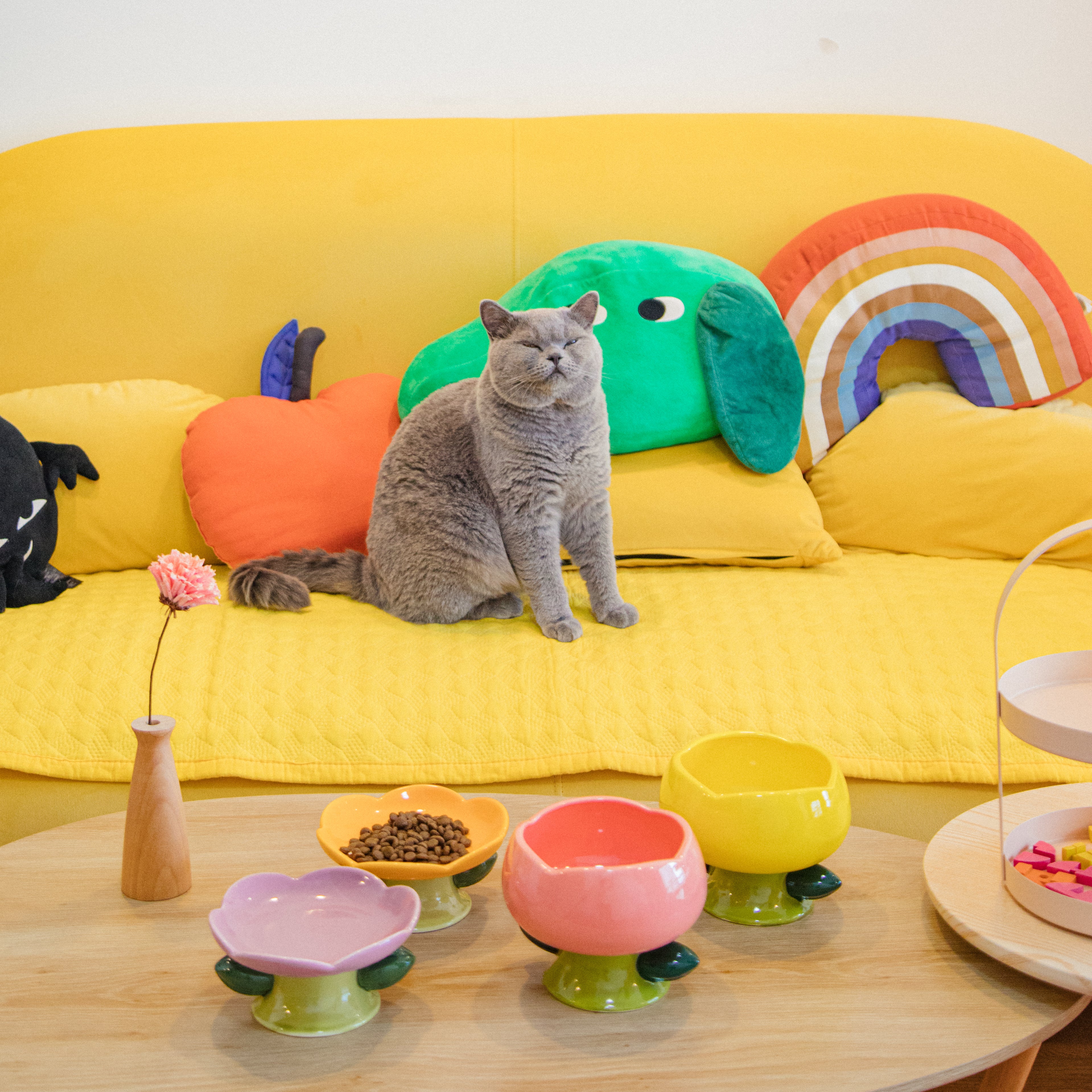 Flower Shape Cat Bowl