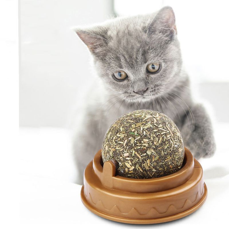 Catnip Cat Wall Stick-On Ball Toy