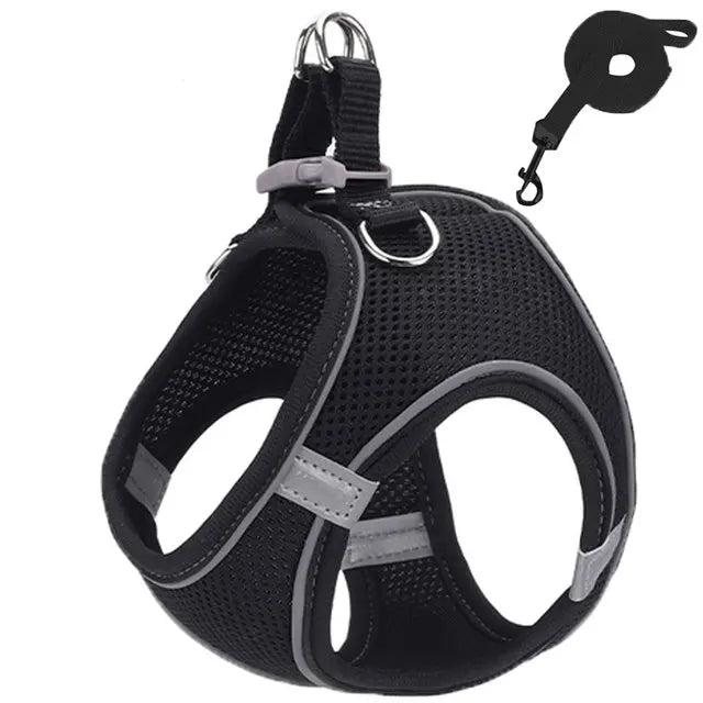Peitoral de passeio para gatos e cachorros