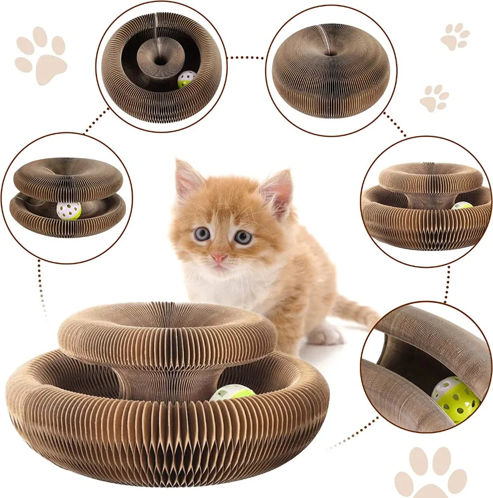 💥Last Day Promotion 70% OFF💥Organ Cat Scratching Board