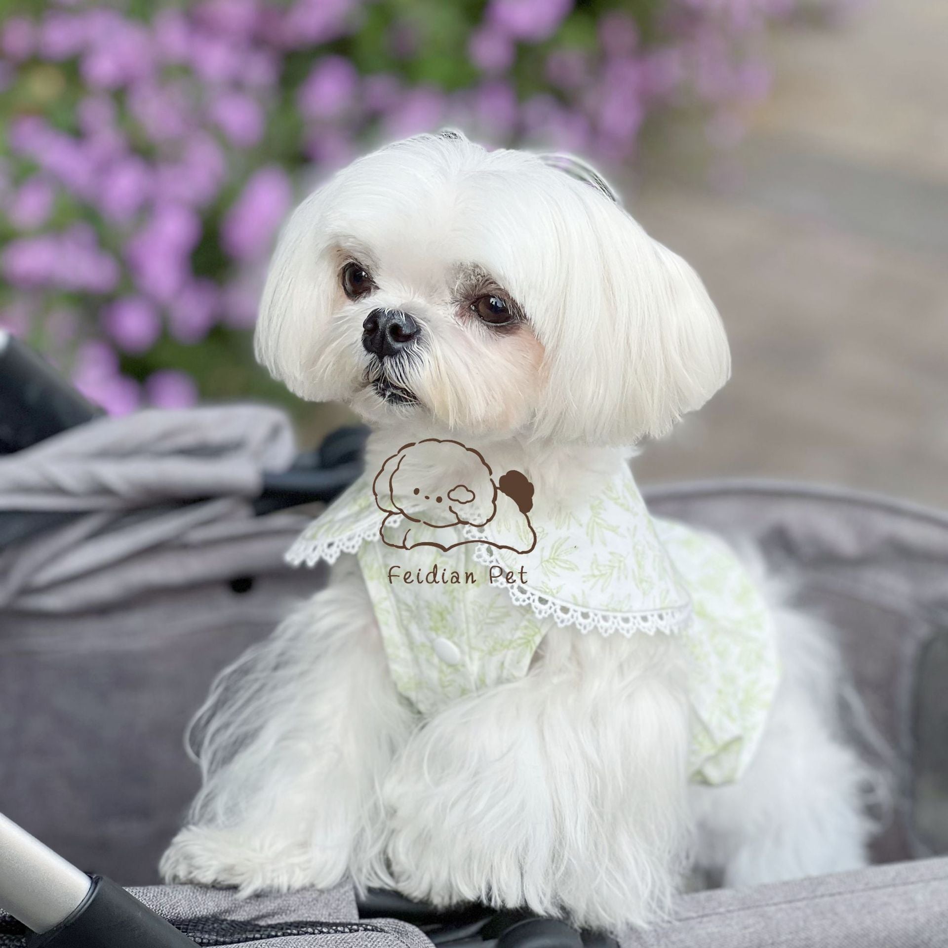Leaf Printed Dog Dress with Hair Clip