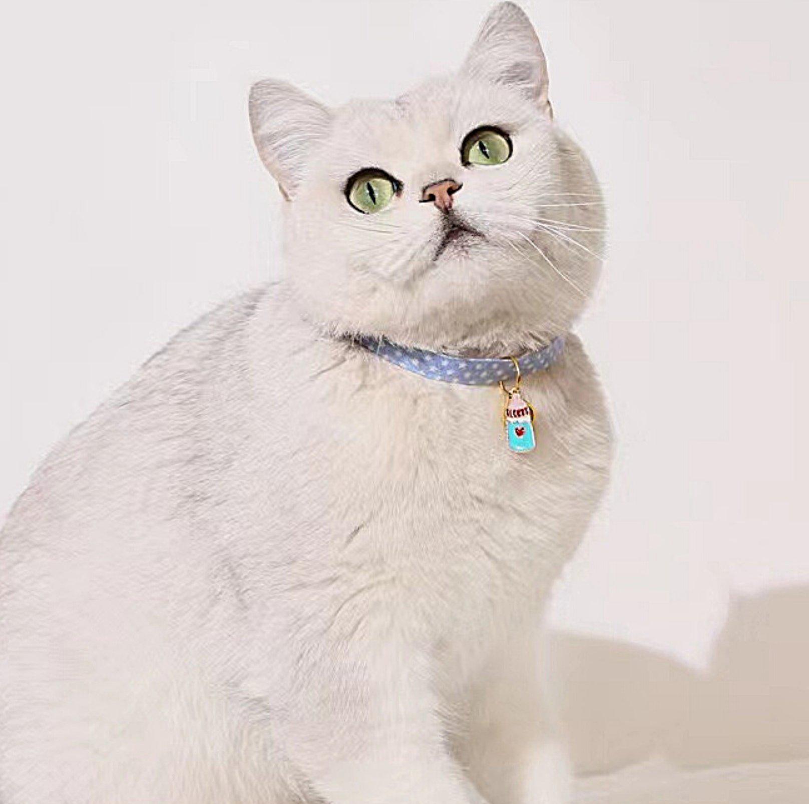 Pendant Style Adjustable Pet Collar