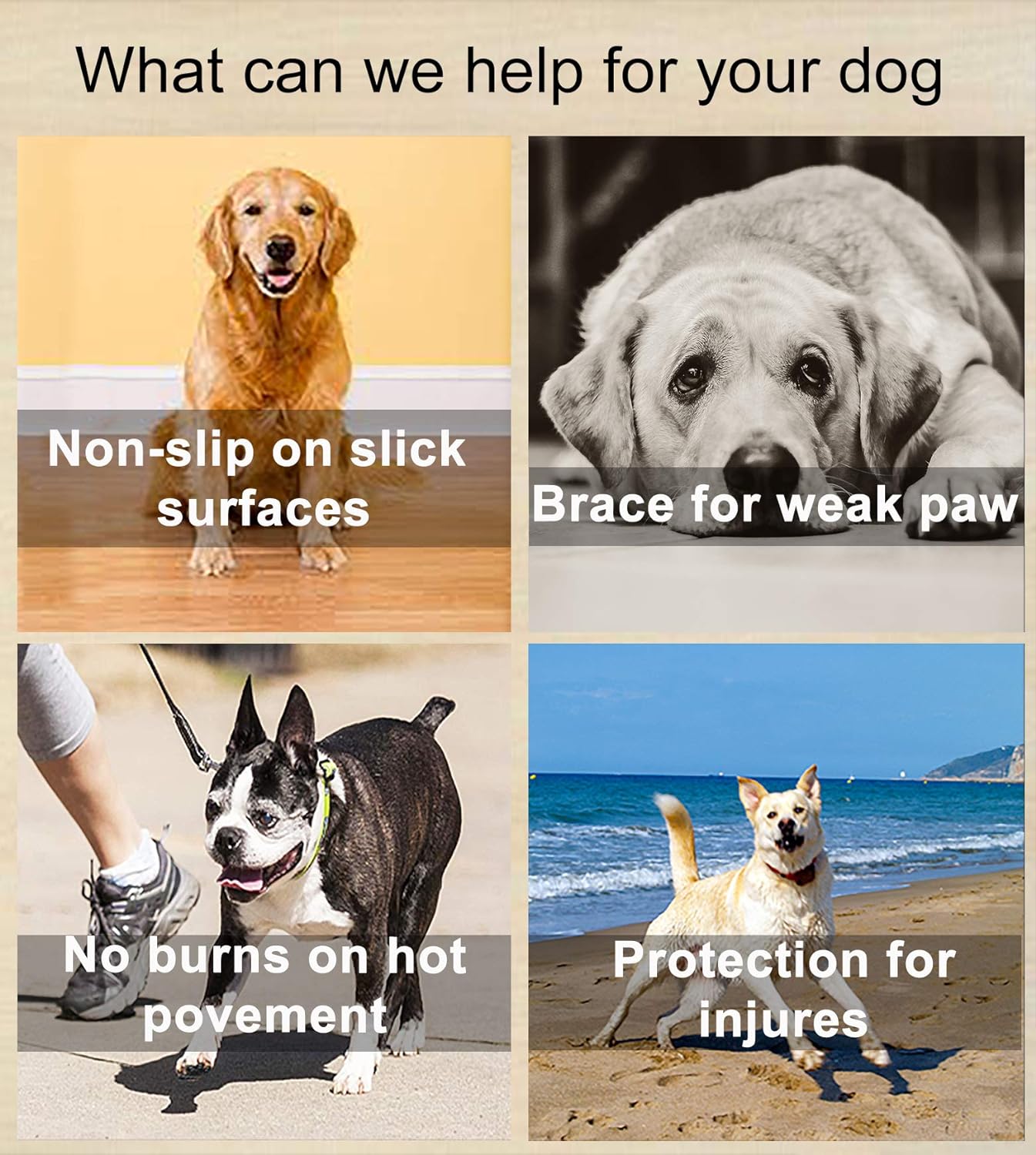 🐾-Dog Paw Protection