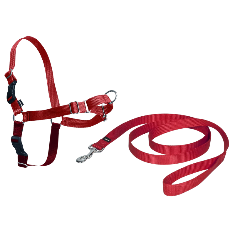 Tangle Free Strap Designed Pet Leash