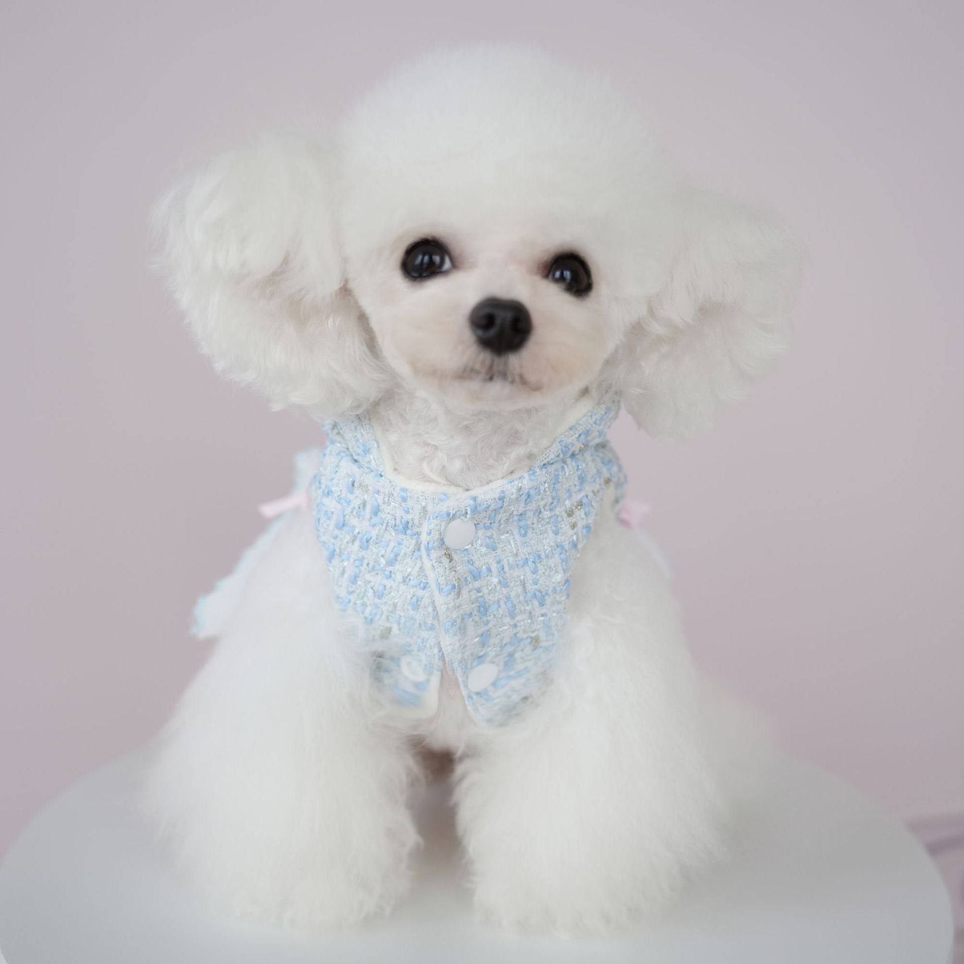 Warm Woollen Sweet Hooded Dog Dress Jacket