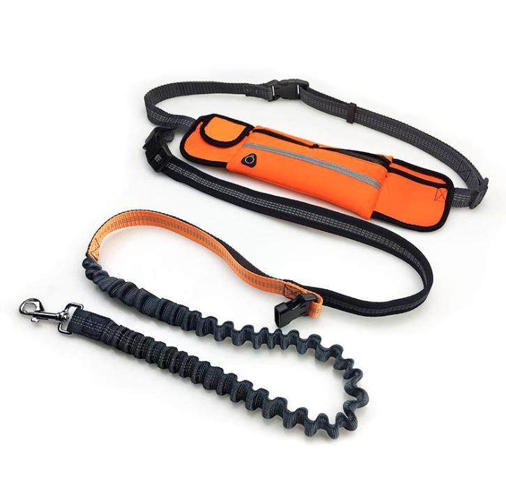 PetGenius Handsfree Dog Leash