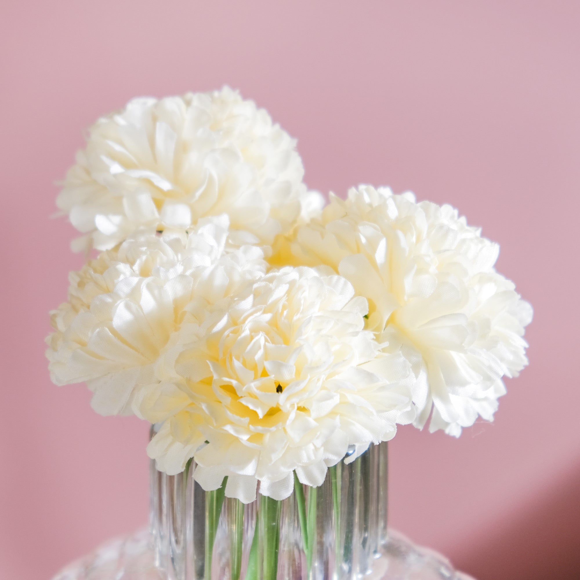 Chrysanthemum Cream Set Of 5