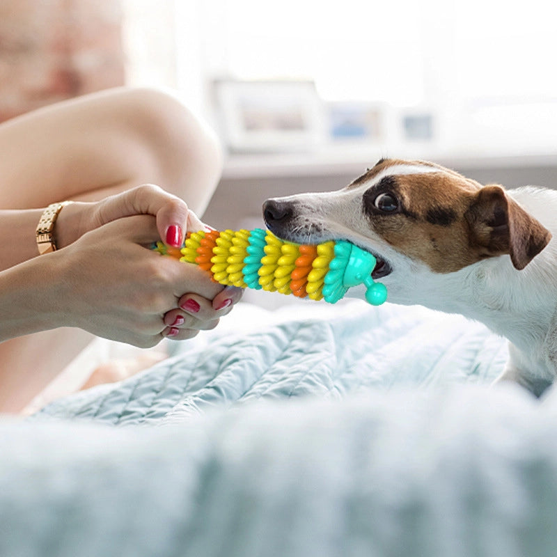 Antenna Caterpillar Dog Teether Toy Bite New Molar Toothbrush Pet Supplies Caterpillar Dog Toy