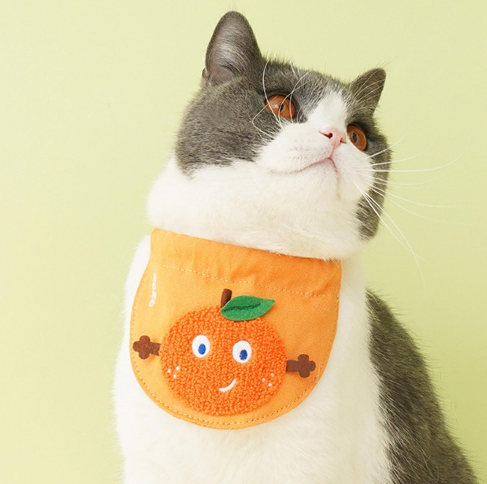 Knitted Cartoon Fruit Pet Cat Bib