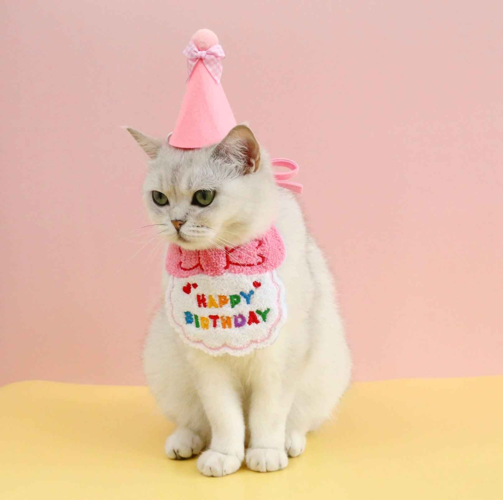 Pet Birthday Ensemble - Embroidered Hat & Bib Accessory Pack