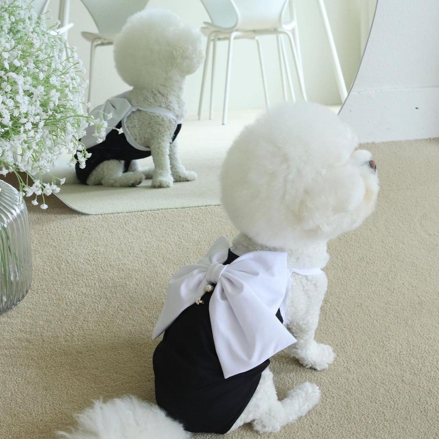 Large Bow Dog Cat Swimsuit