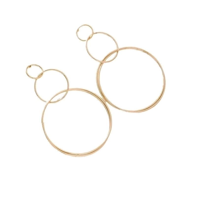2 Pieces Elegant Lady Round Flower Snake Plating 316 Stainless Steel  Titanium Steel 18K Gold Plated Drop Earrings