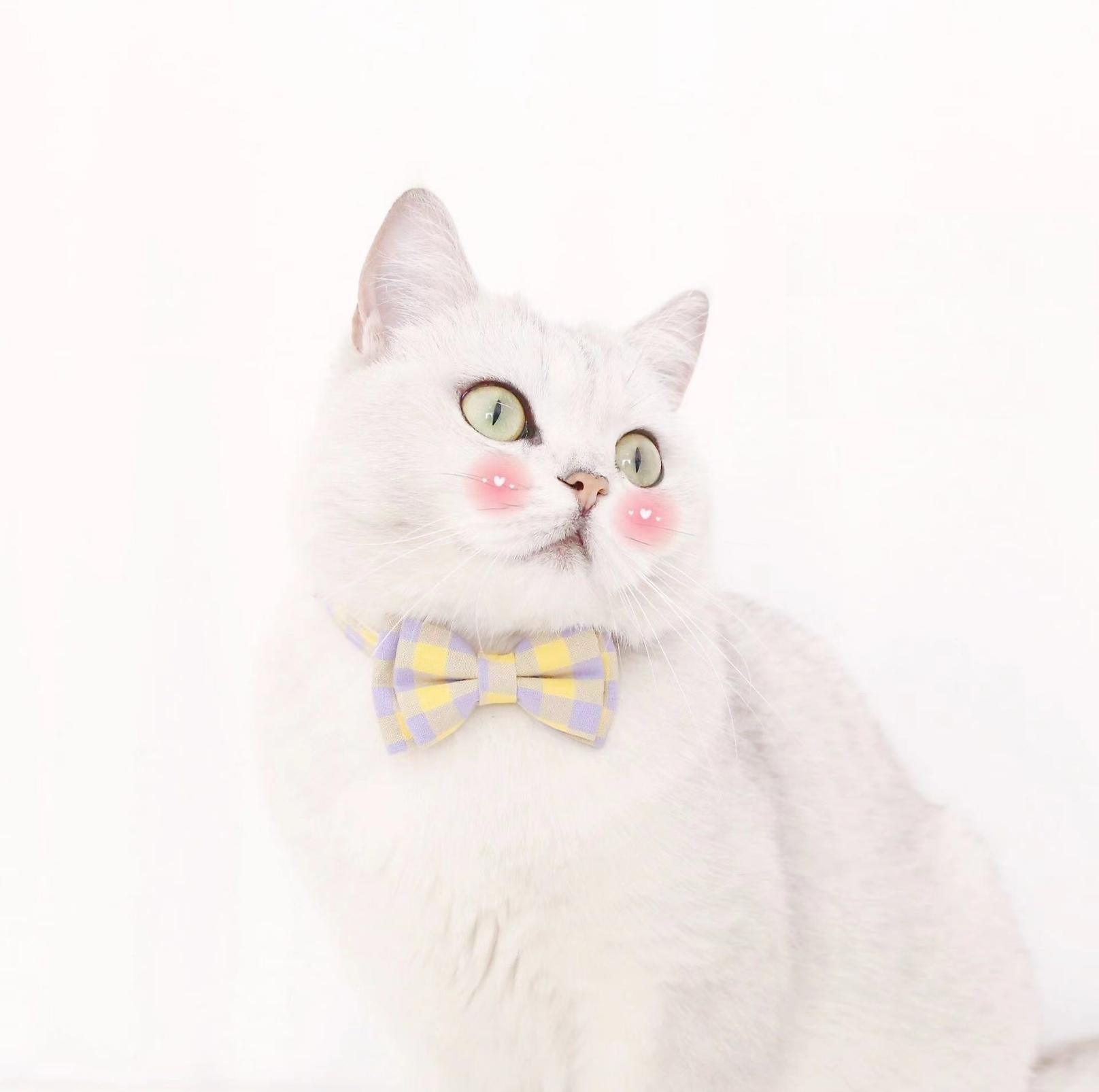 Colourful Plaid Bow Style Adjustable Pet Collar