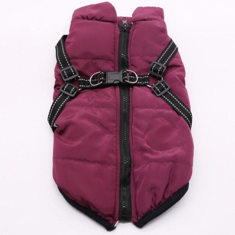 Pet Dog Coat Jacket With Harness
