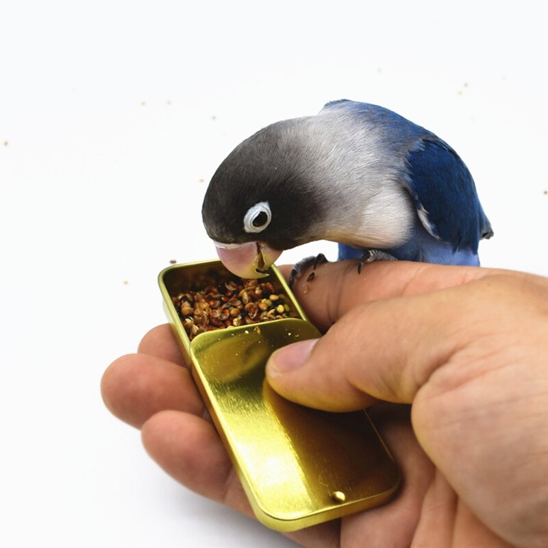 Bird Training Food Jar