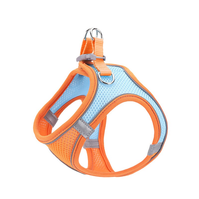 Breathable Dog Harness And Leash Set