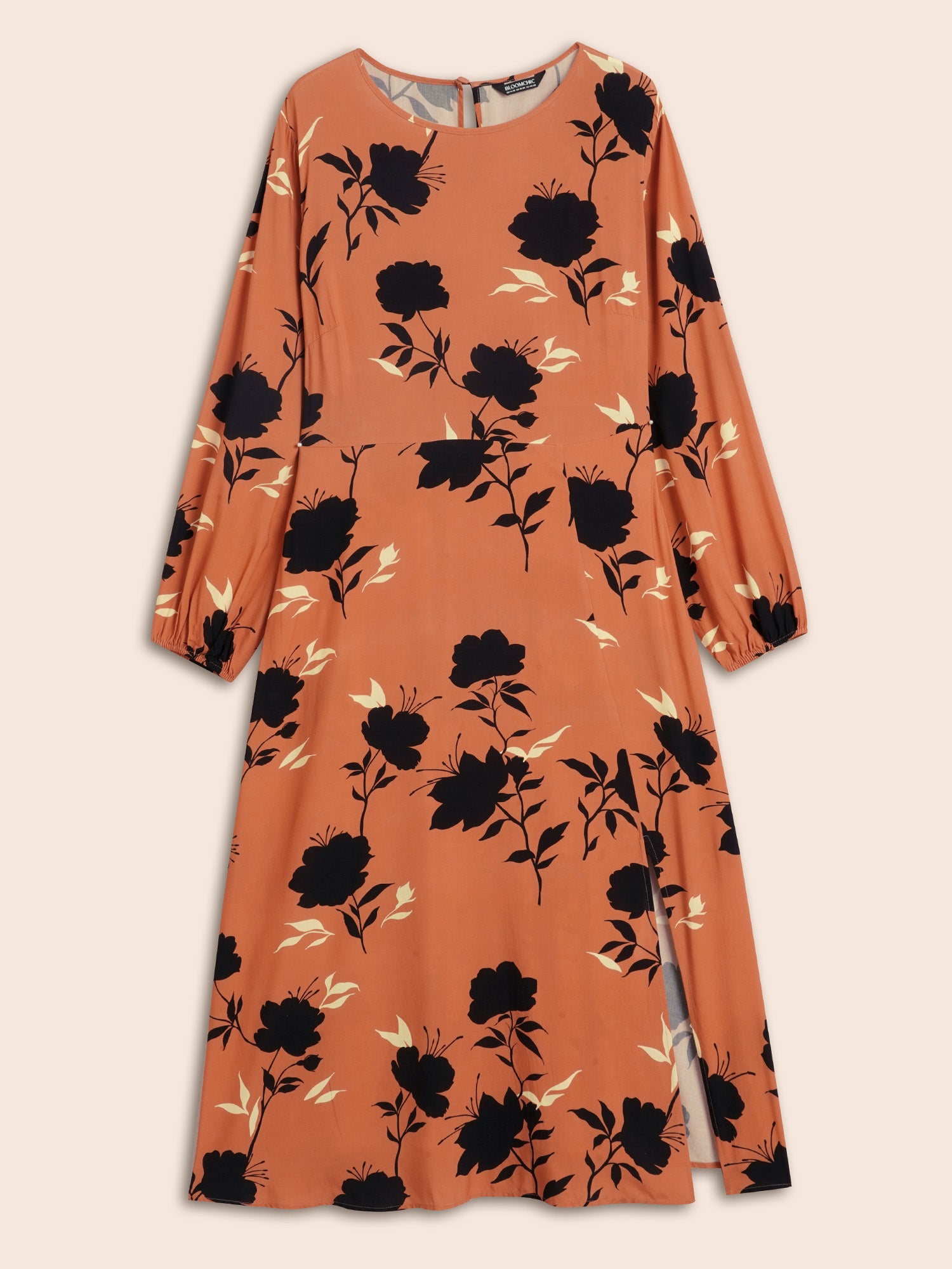 Silhouette Floral Print Lantern Sleeve Slit Hem Dress