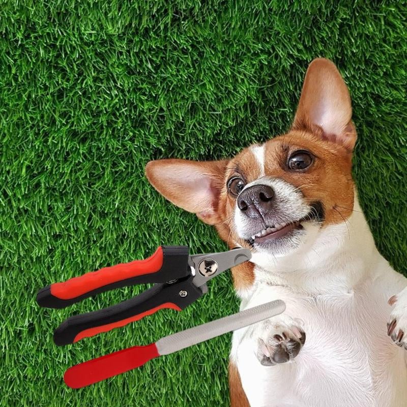 Professional Rechargeable Electric Trimmer for Dogs
