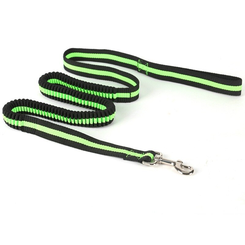 Pet Dog Lead Leash