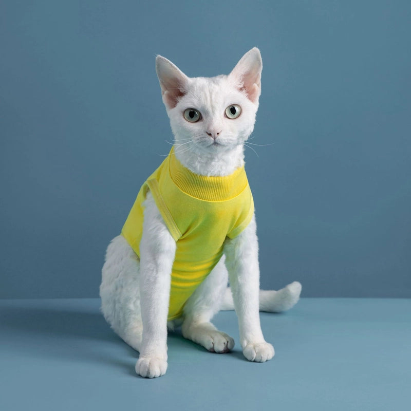 Pet Supplies Cat Clothes After Sterilization Clothing Anti-licking Soft Super Elastic Comfortable Pet Clothes Outlet