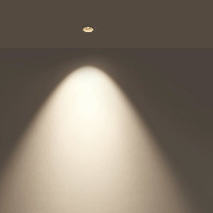 Trimless Downlight