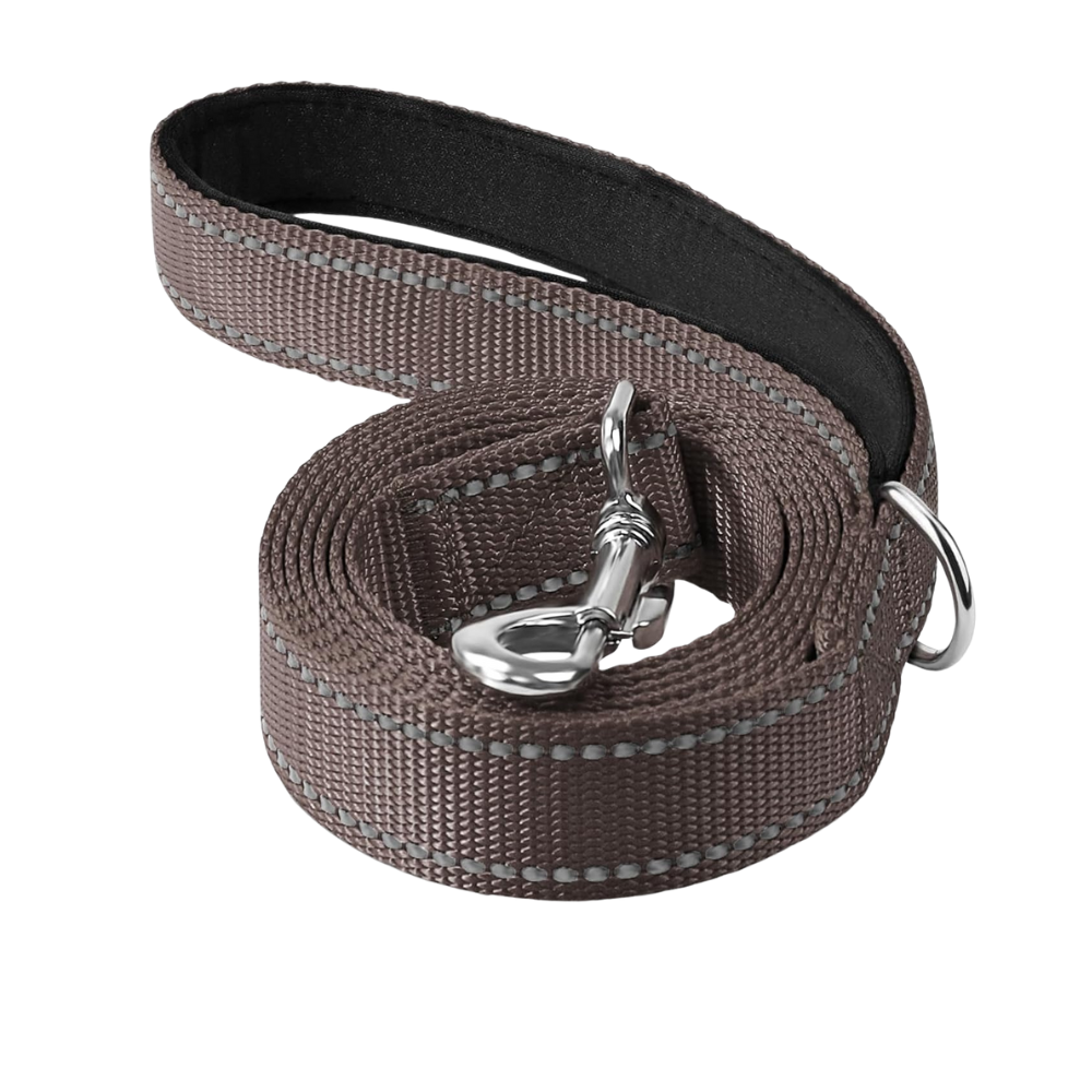Double Sided Reflective Dog Leash